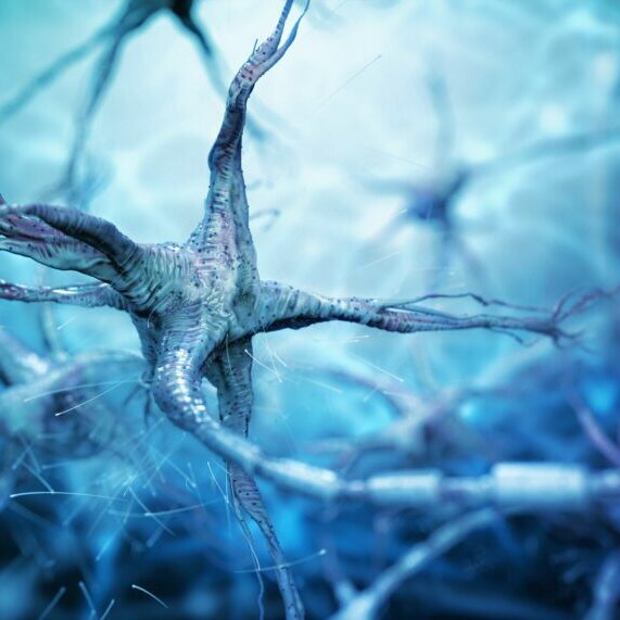 Nerve-Cells-3D_1