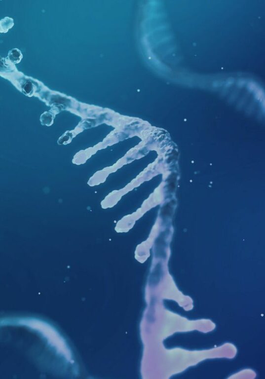 RNA_DNA_Render_1