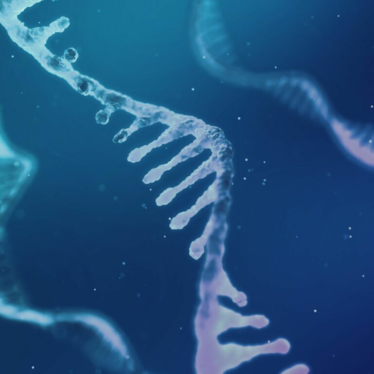 RNA_DNA_Render_1